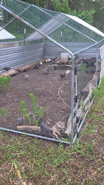@DelaterrePermacultureFarm