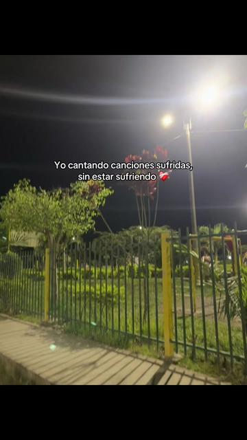 @Mayc 🐯