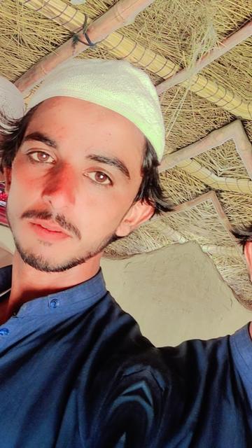 @seebano 76/