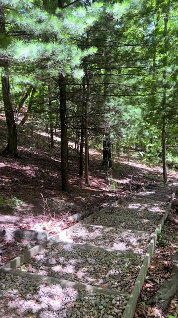 @Daver in the Woods