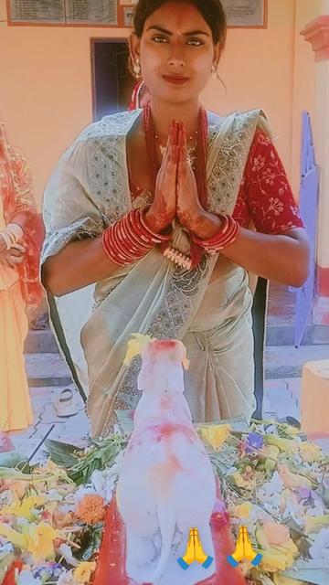 @parwati mehta