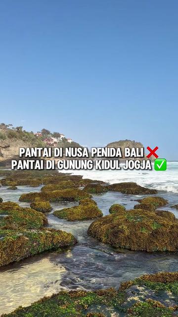@Handy | Food & Travel
