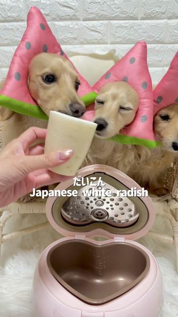 @🎀もあらなまぅ🎀