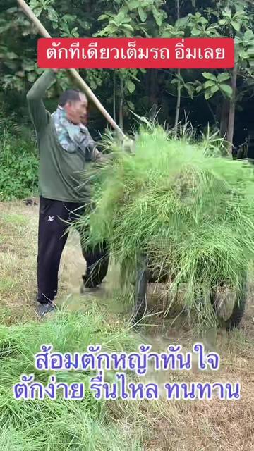 @นัดดาชอป