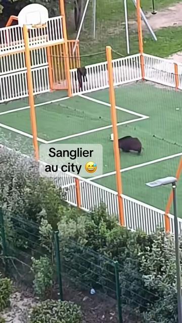 @SJL_OFF