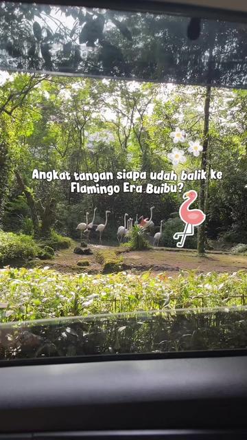 @Sabs | Jalan Bareng Anak✈️