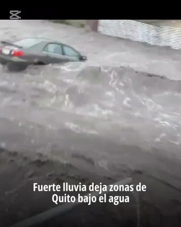 @antoniobombon615