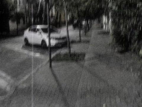 @amfovitability