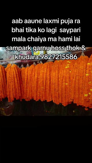 @Sahil Rangrez