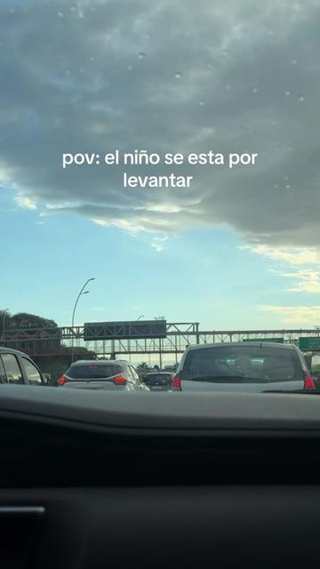 @sofia alfredi