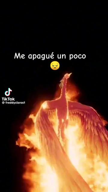 @Dorada