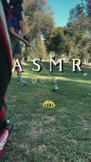 @GoGoGolf & Dinks