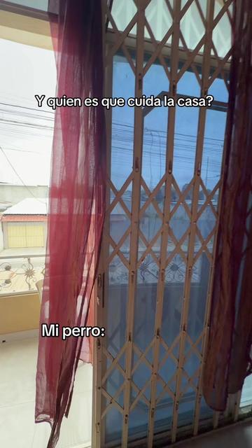 @🍀🐾Luis Pulgarin y Mafrencito