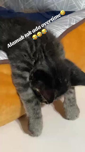 @JayadevanRama
