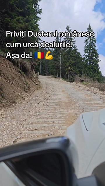 @ionuthabuc_duster_fan
