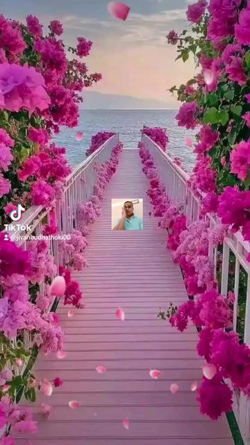 @जीवन बुढाथोकी