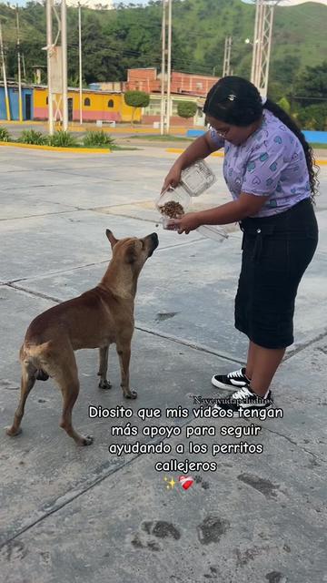 @NayeAyudaPeluditos
