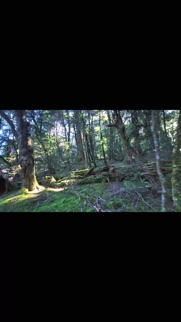 @Bhawana Subba
