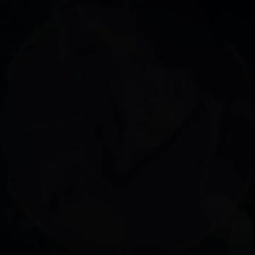 @๐๐๐๐ ๐ชฝ
