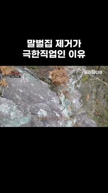 @EBS 다큐