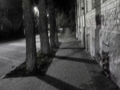 @amfovitability
