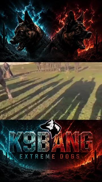 @K9 BANG