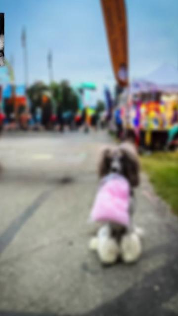 @Luxe The Adventure Poodle