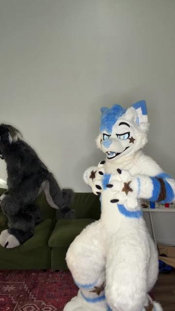 @BlueFoxNova