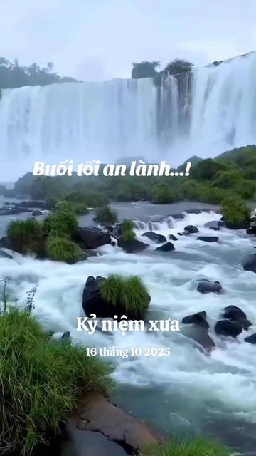 @nguyễn dung