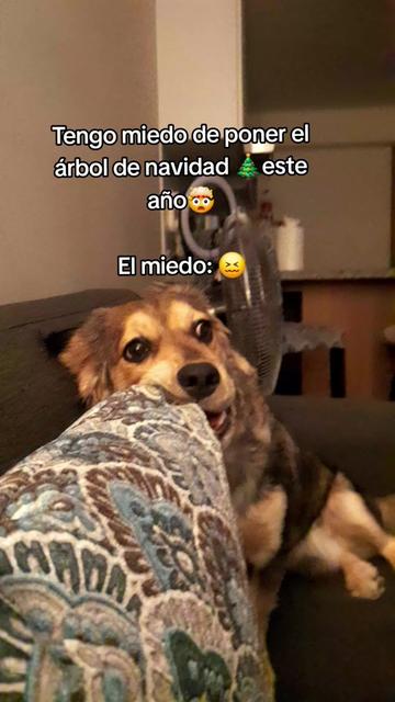 @Una leo♌️