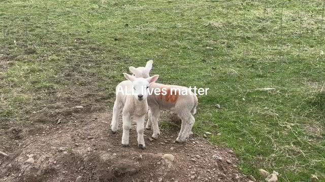 @official_ecoroots