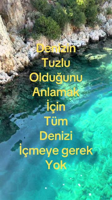@adakTASAK