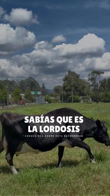 @Rehagronegocios
