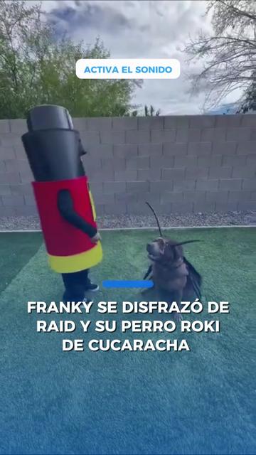@Periódico El Mexicano