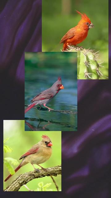@Nature is Surreal