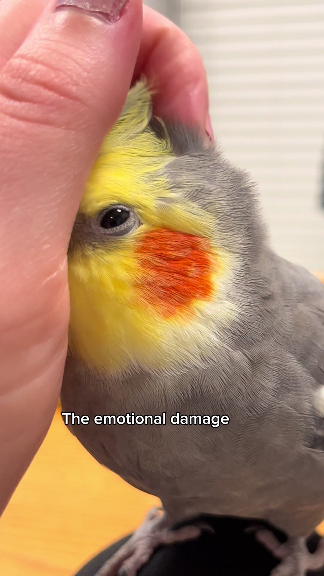 @Emery The Branch Manager