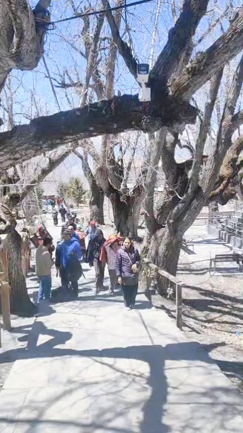 @Padma-Rijal