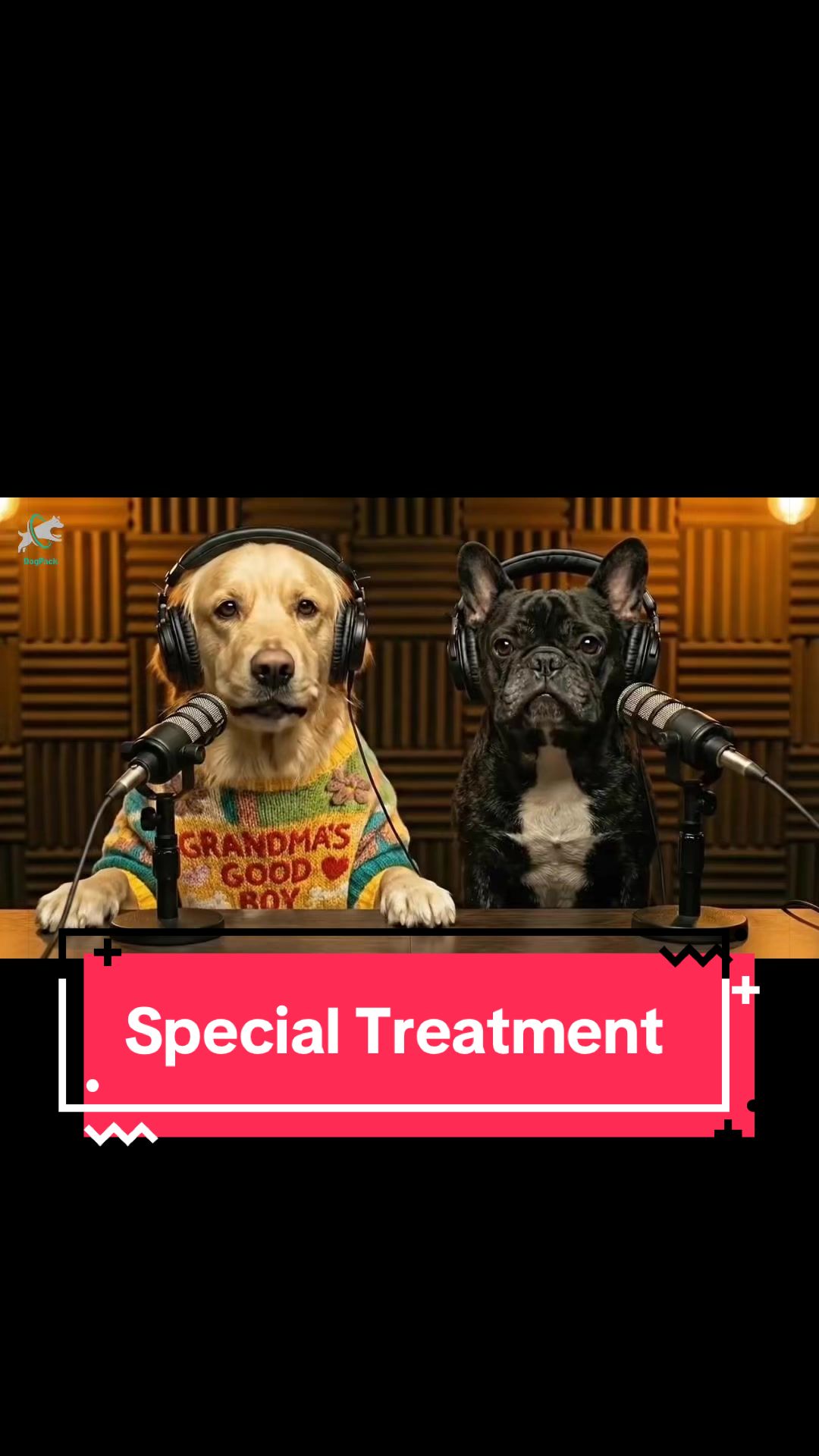 @DogPack