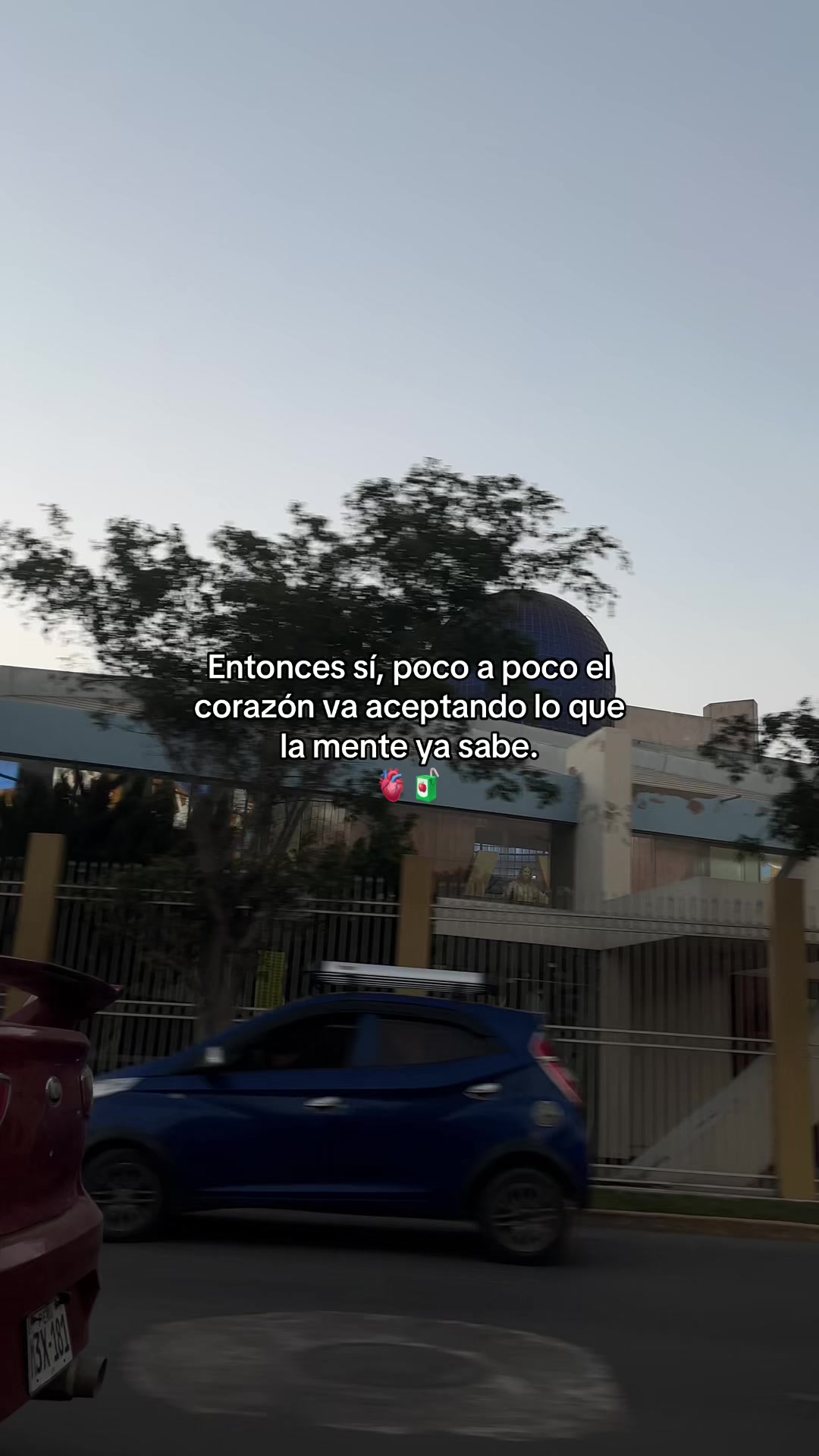 @Gatocix 🐱