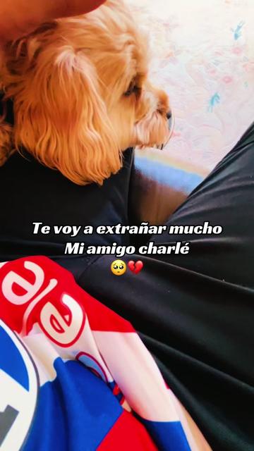 @SAMMY LÓPEZ