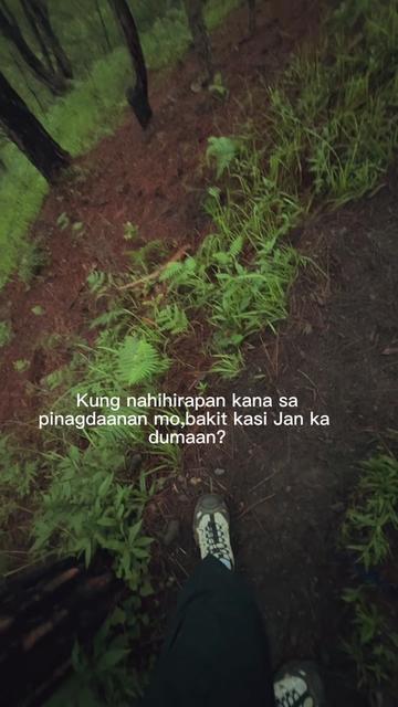 @ysaniiieee