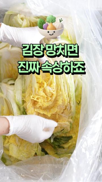 @아삭-괴산절임배추