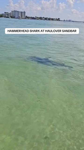 @Miami | Miami Beach
