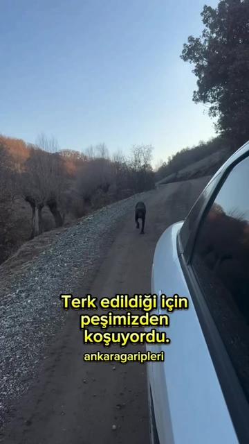 @Asiye
