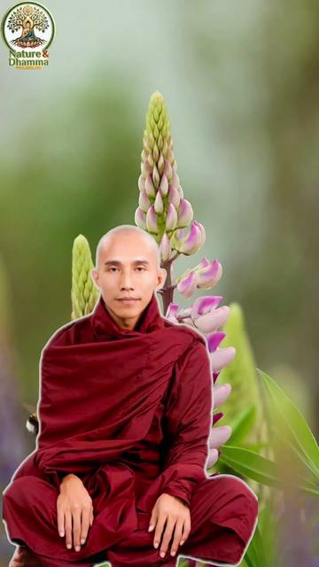 @๐๐๐ญ๐ฎ๐ซ๐ & ๐๐ก๐๐ฆ๐ฆ๐