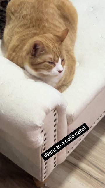 @petrafiedlove