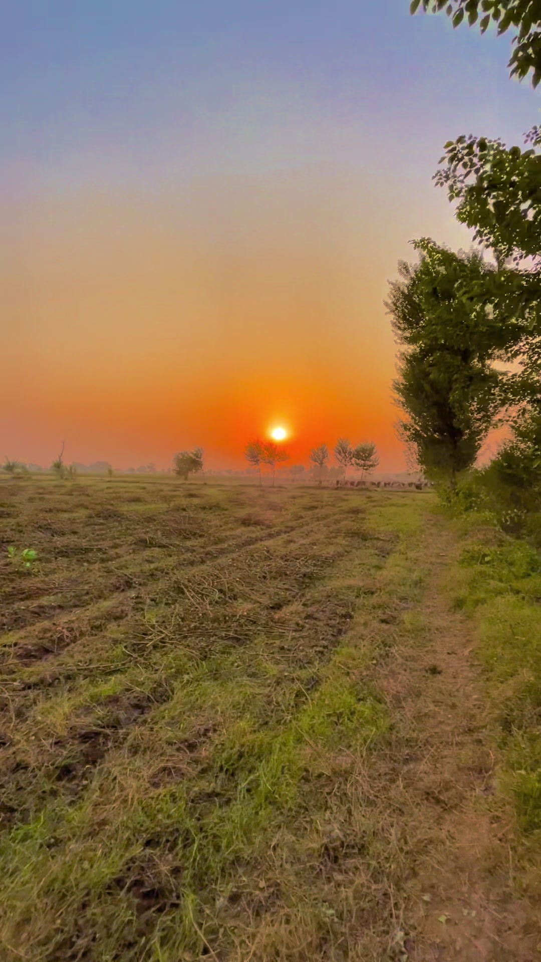 @🌾میں۔ میرا۔ پنڈ🎋