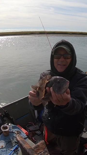 @For ReeLz Fishing 🎣