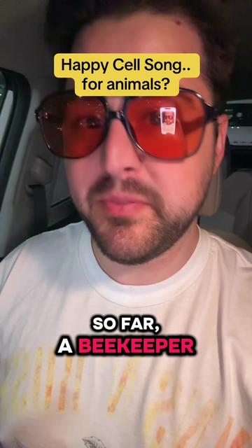 @BurchBearHolisticCare