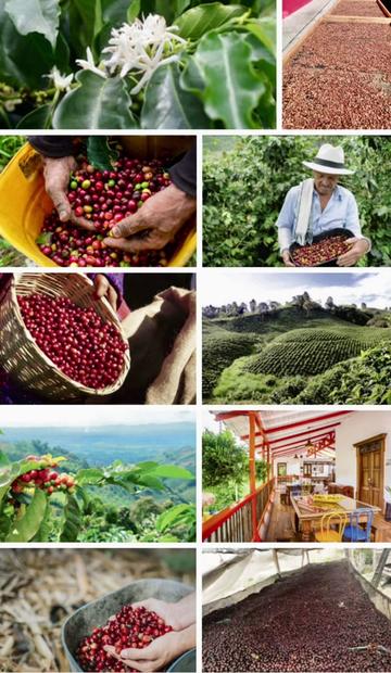@CoffeeVitals ☕️ 🌱🤎